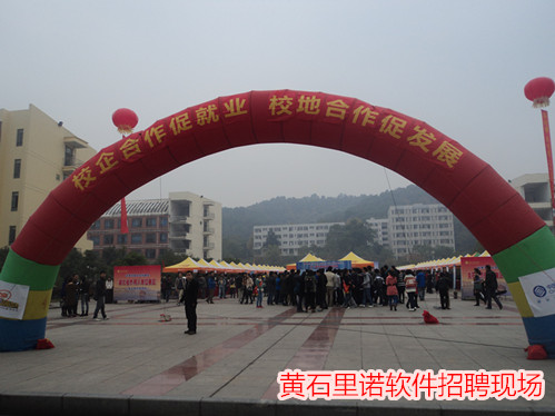 2013�Sʯ������Ƹ�F��